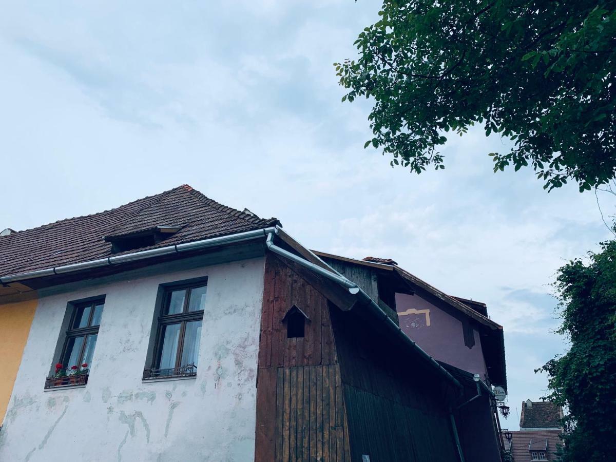 Casa Teutsch Villa Segesvár Kültér fotó